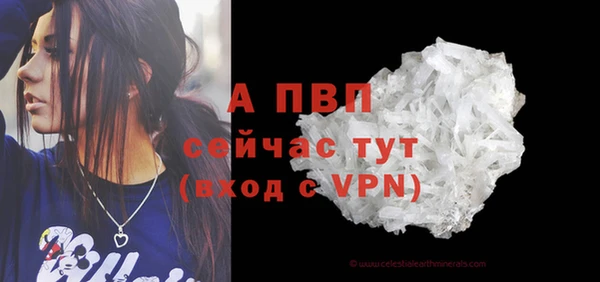 шишки Заволжск
