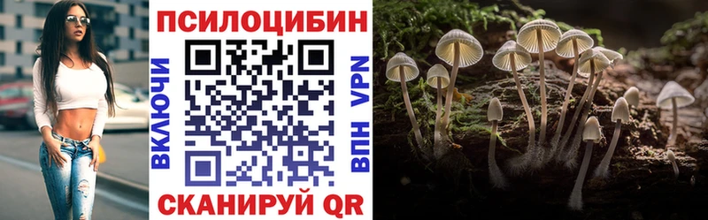 Галлюциногенные грибы Psilocybe  даркнет официальный сайт  Бор 